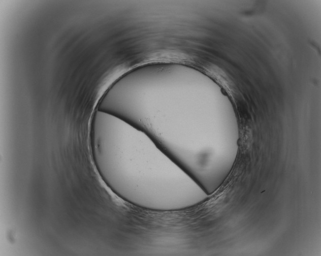 X0000098121103200804040818