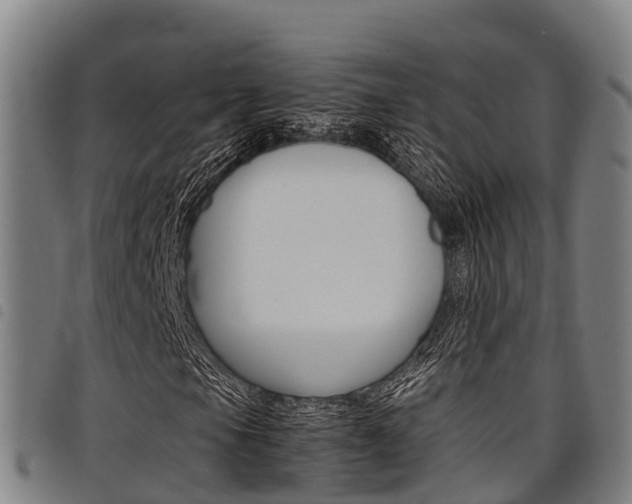 X0000098121105200804040817