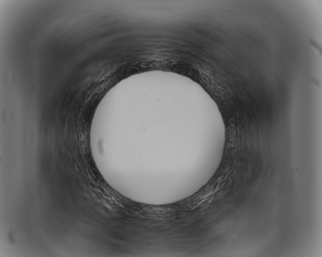 X0000098121109200804040817
