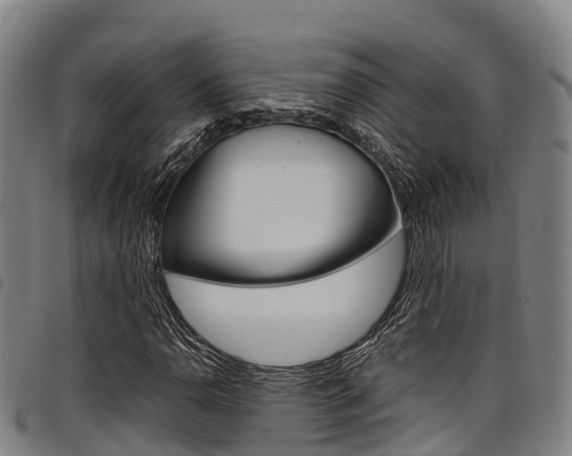 X0000098121110200804040817