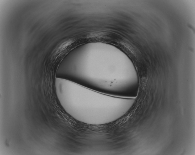 X0000098121111200804040817