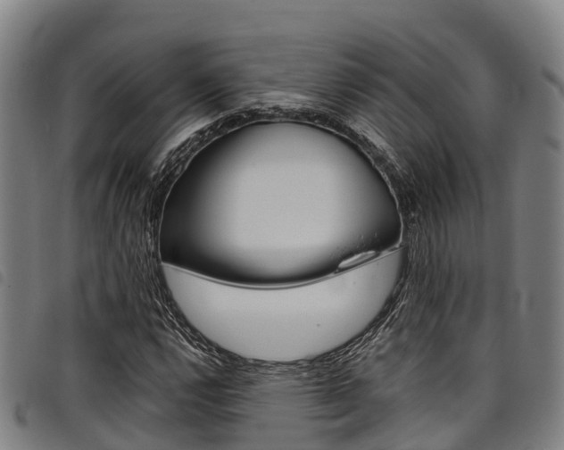 X0000098121112200804040817