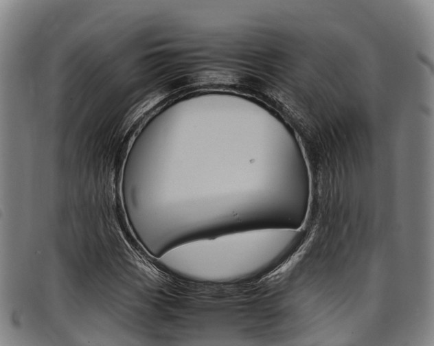 X0000098121113200804040817