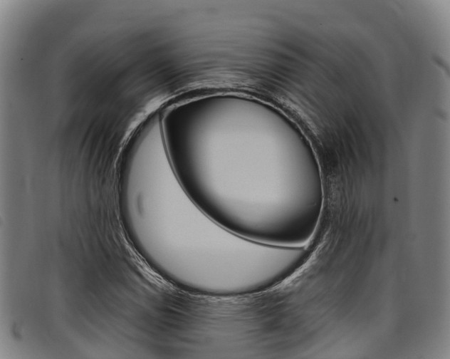X0000098121114200804040817