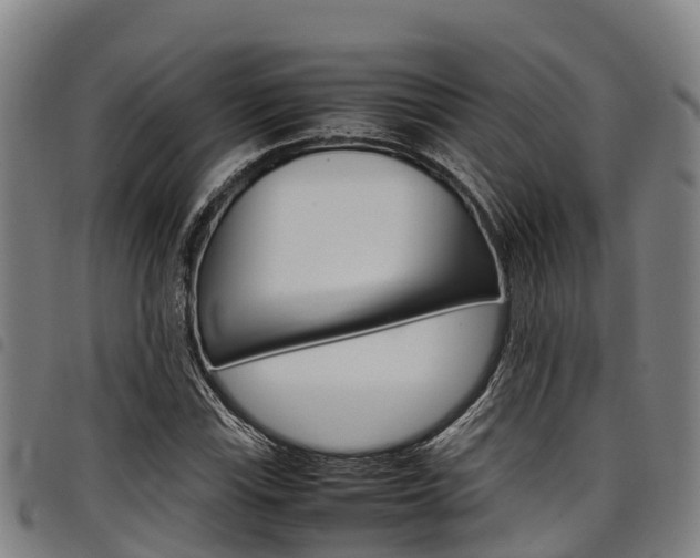 X0000098121115200804040817