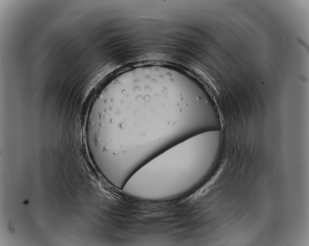 X0000098121117200804040817