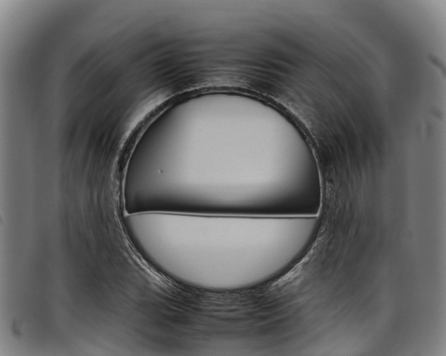 X0000098121119200804040818