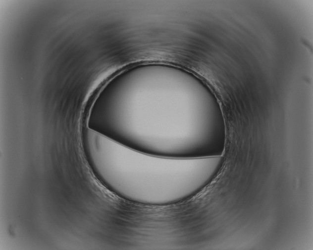 X0000098121120200804040818