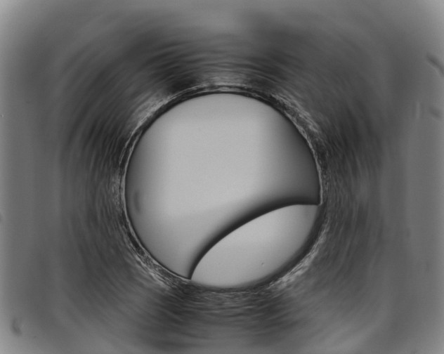 X0000098121121200804040818