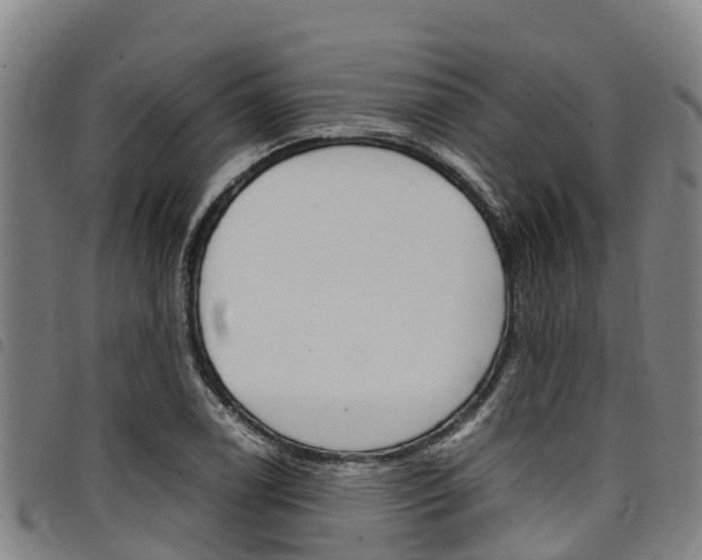 X0000098121122200804040818