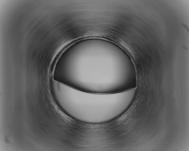 X0000098121124200804040818