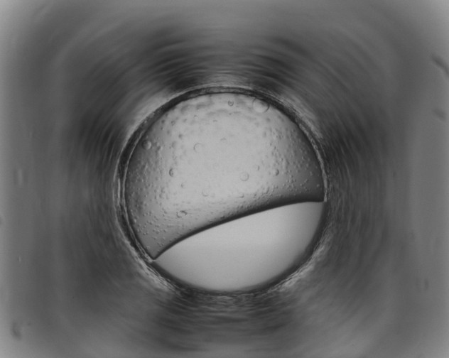 X0000098121125200804040818