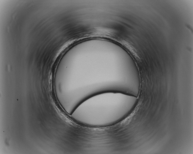 X0000098121126200804040818