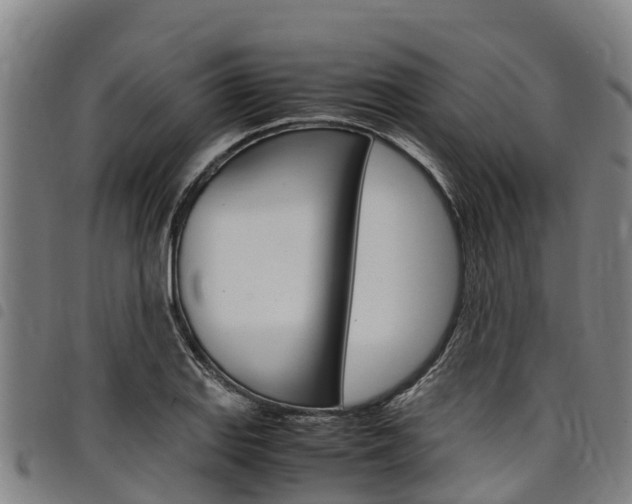 X0000098121127200804040818