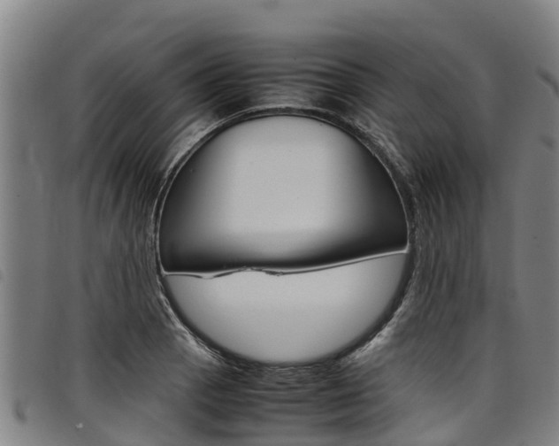X0000098121129200804040818