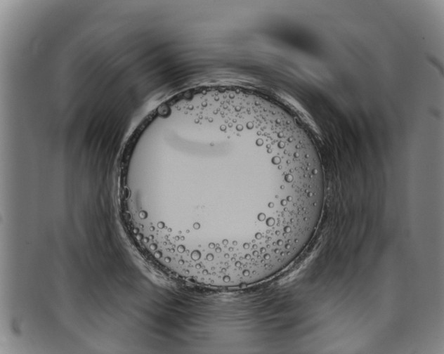 X0000098121130200804040818