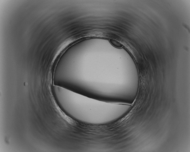 X0000098121131200804040818