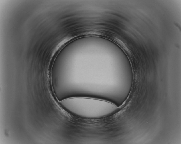 X0000098121133200804040818
