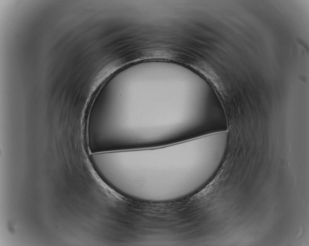 X0000098121135200804040818