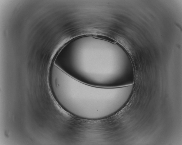 X0000098121136200804040818