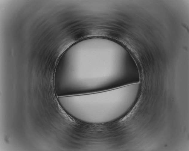 X0000098121137200804040818