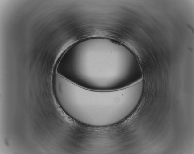 X0000098121138200804040818
