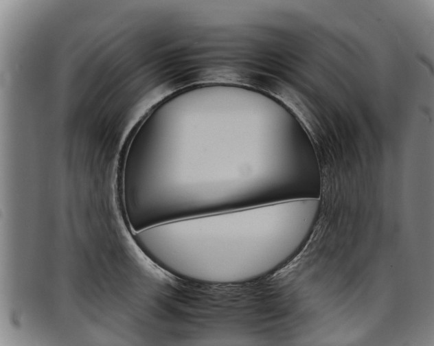 X0000098121139200804040818