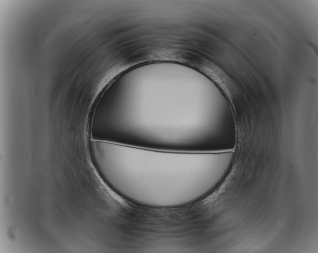 X0000098121141200804040818