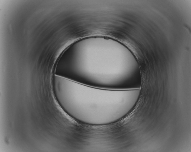 X0000098121142200804040818