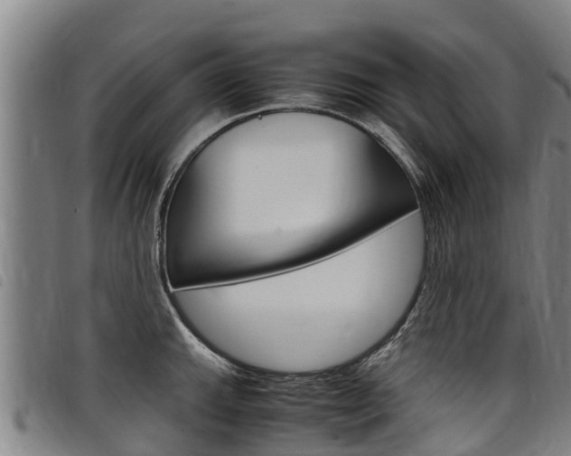 X0000098121143200804040818