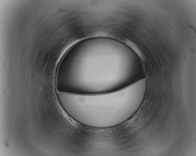 X0000098121148200804040818