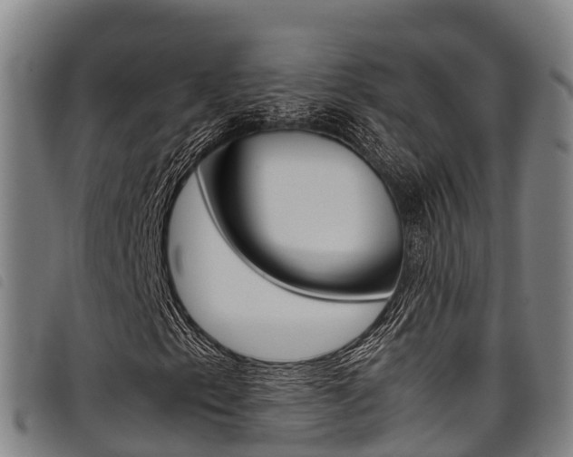 X0000098121153200804040817