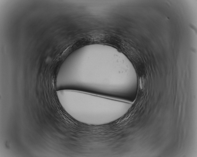 X0000098121155200804040817