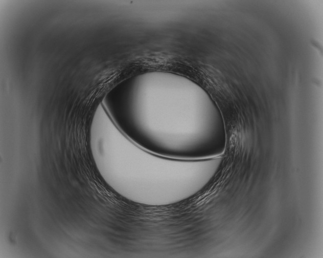 X0000098121156200804040817