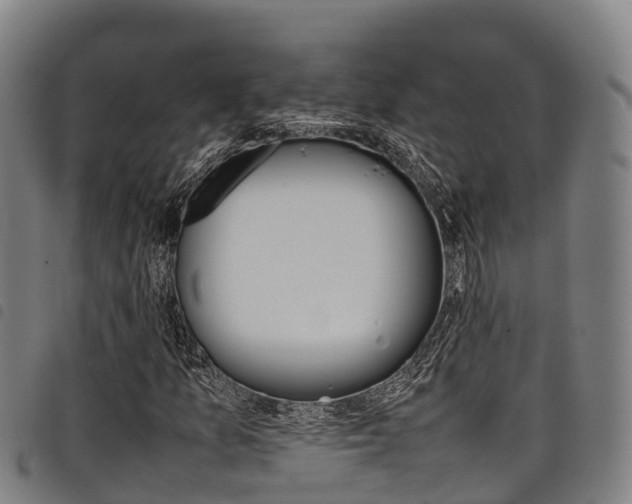 X0000098121157200804040817