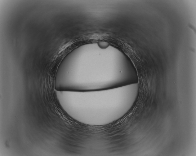 X0000098121158200804040817