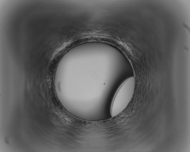 X0000098121159200804040817