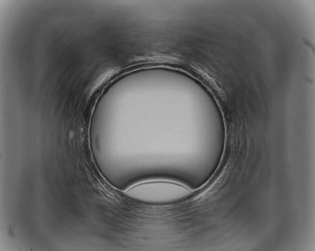 X0000098121163200804040817