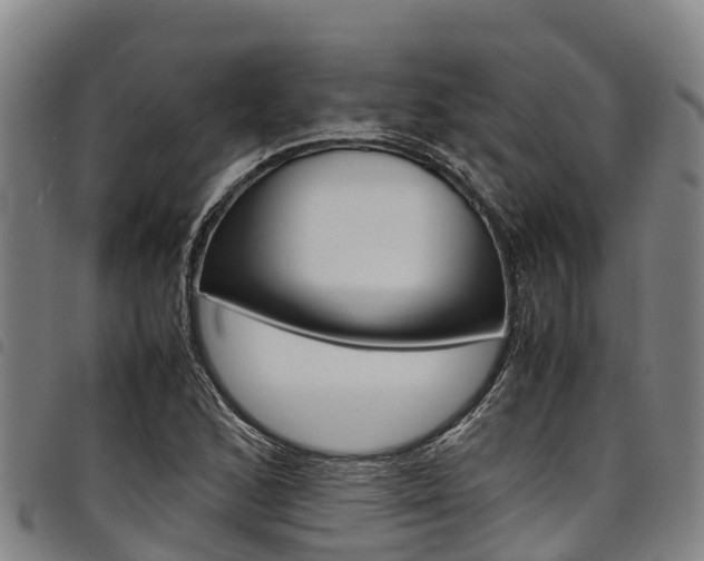X0000098121168200804040817
