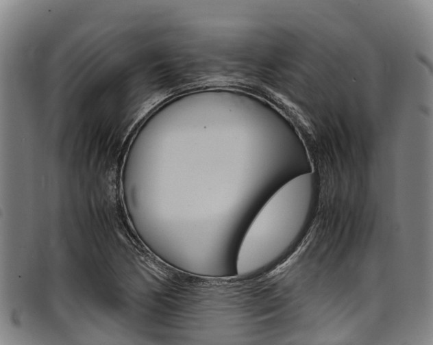 X0000098121170200804040817