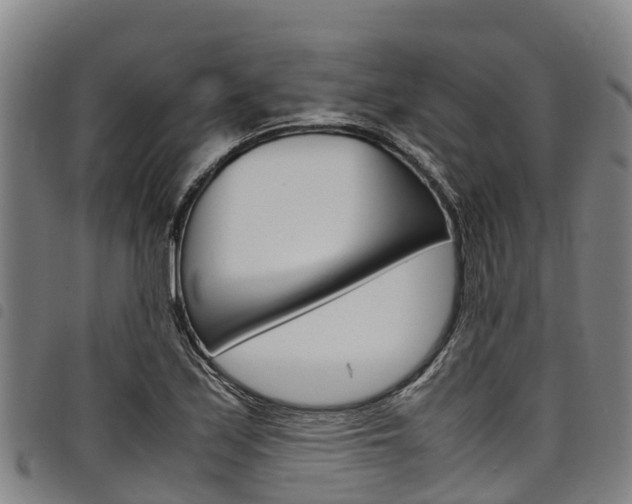 X0000098121171200804040817