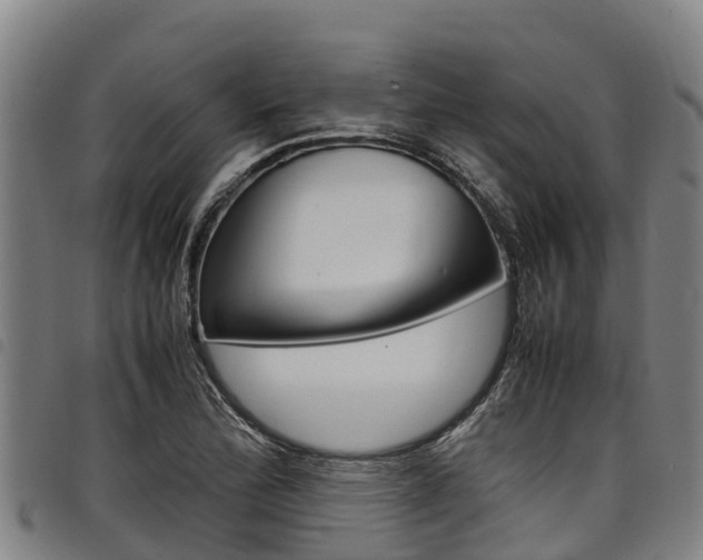 X0000098121172200804040817