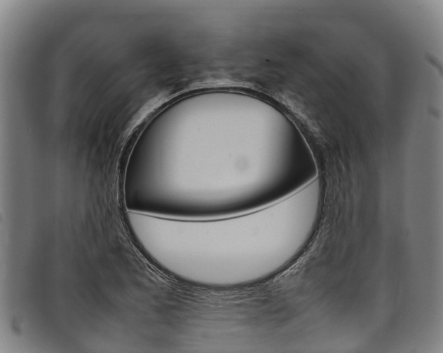 X0000098121173200804040817
