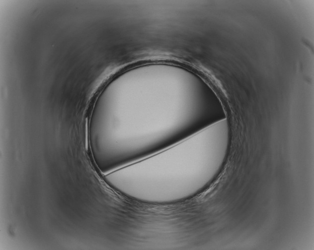 X0000098121175200804040817