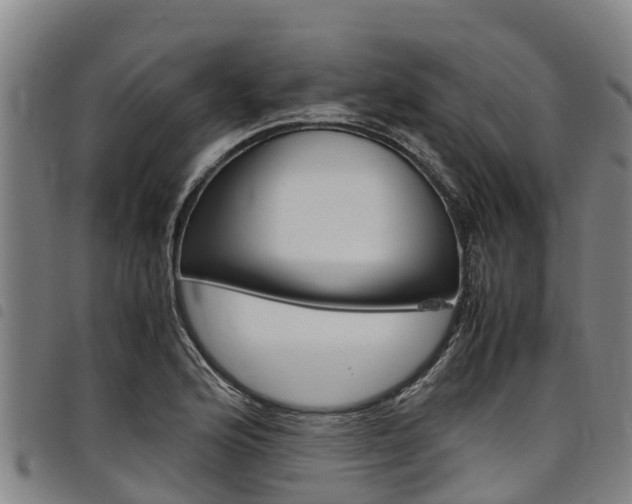 X0000098121176200804040817