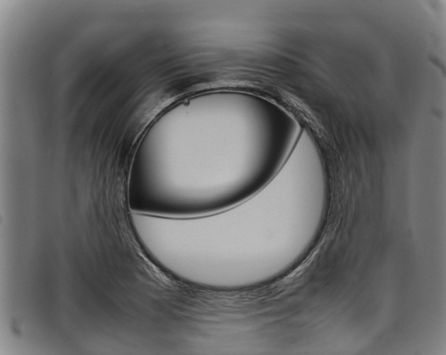 X0000098121177200804040817