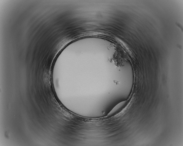 X0000098121178200804040817