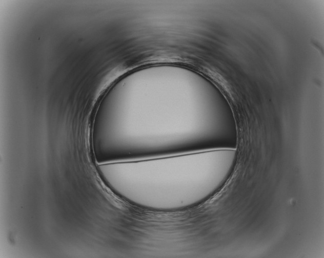 X0000098121179200804040817