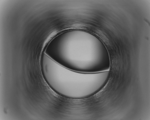 X0000098121180200804040817