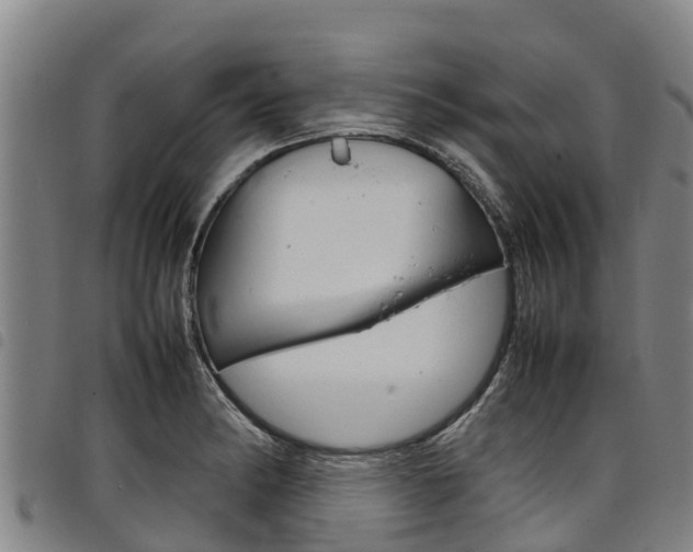 X0000098121182200804040817